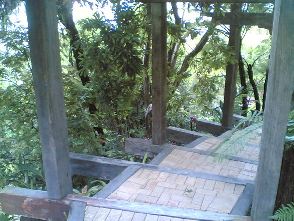 Arapito 3